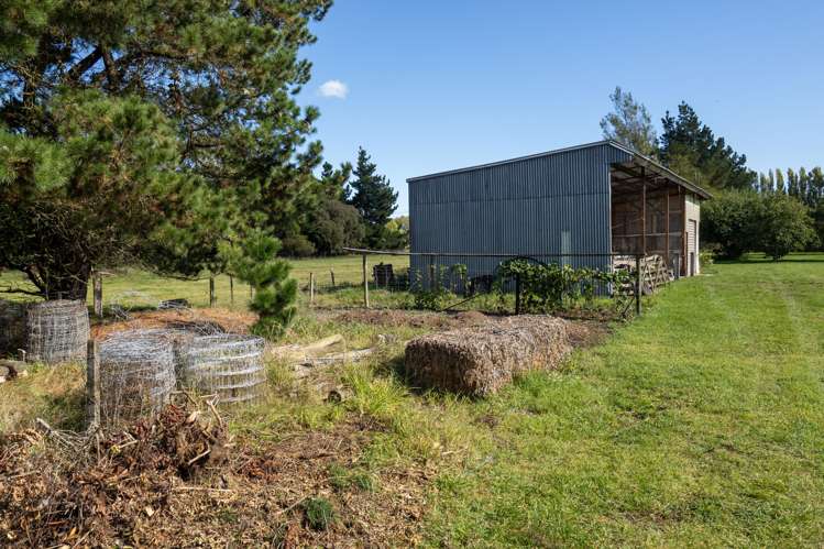 120 Johnstone Street Tinwald_41