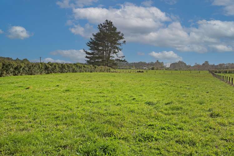 86 Saddleton Road Clarks Beach_19