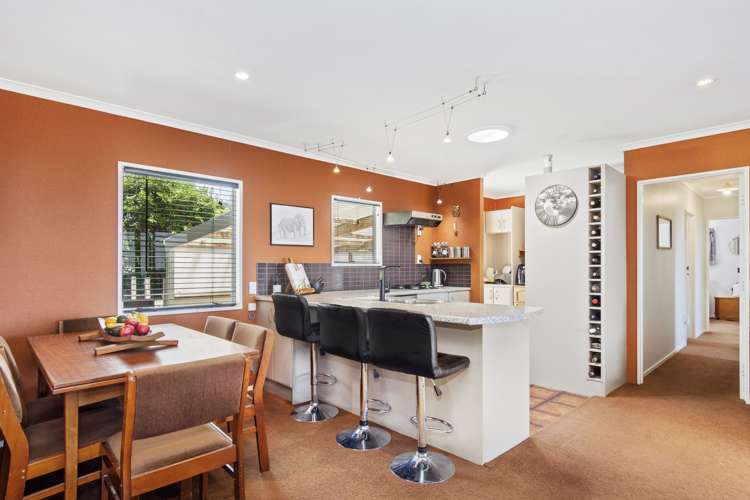 467 Rocky Cutting Road Kaimai_11