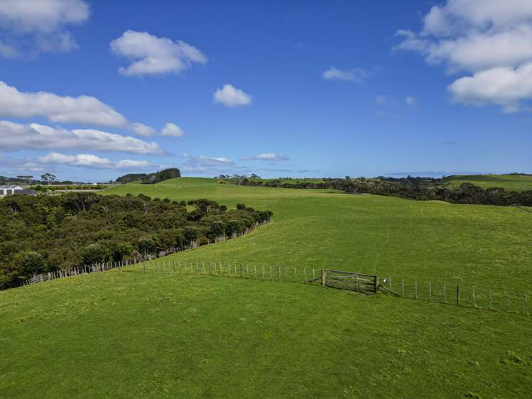 76 Muriwai Valley Road Waimauku_34