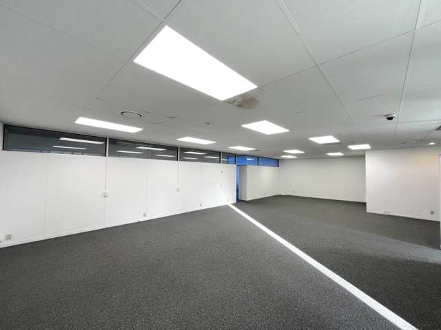 16 Taylors Road Morningside_4