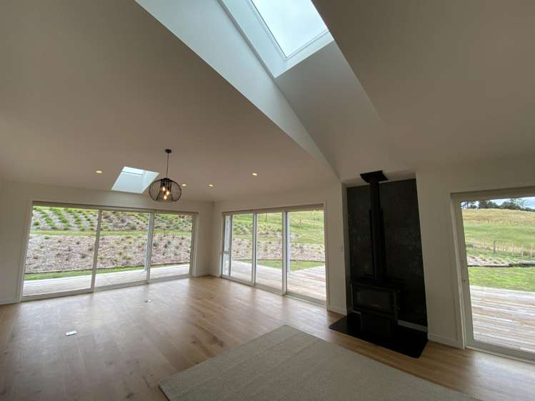 241 Austin Road Dairy Flat_5