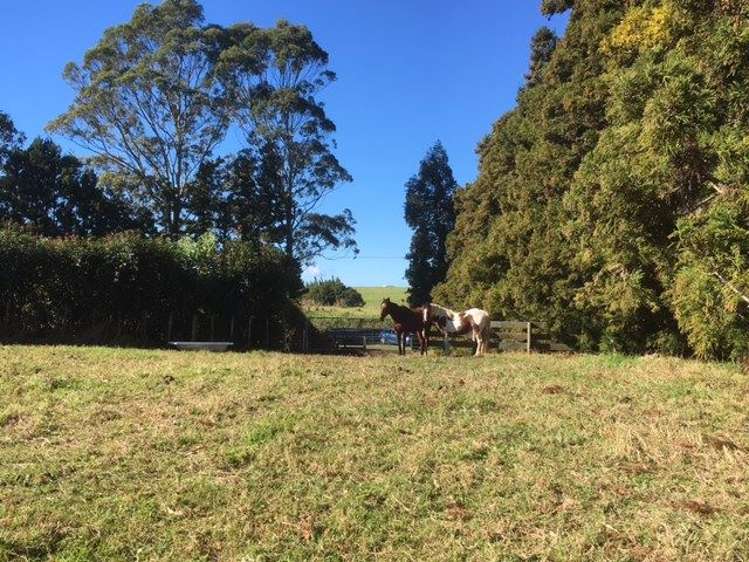 27 Redcliffs Road Kerikeri_18