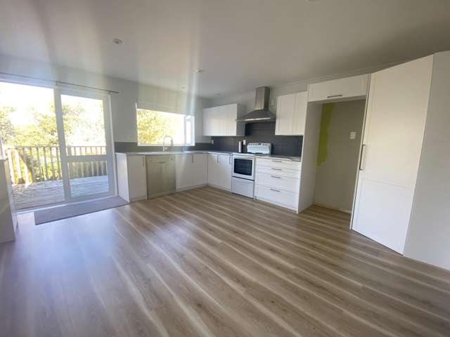 92 Allen Street Morrinsville_2