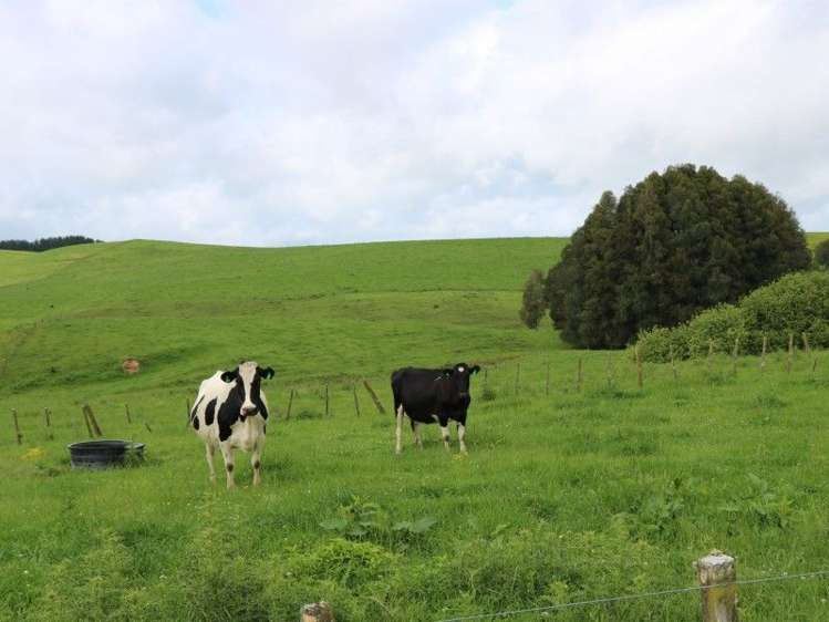 1190 Lake Arapuni Road Putaruru_23