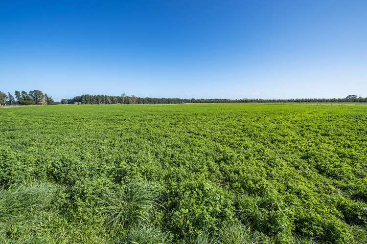 Thompsons Road West Melton_6