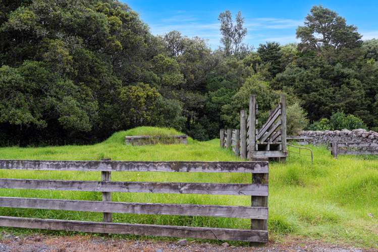 668 Ngunguru Road Glenbervie_17