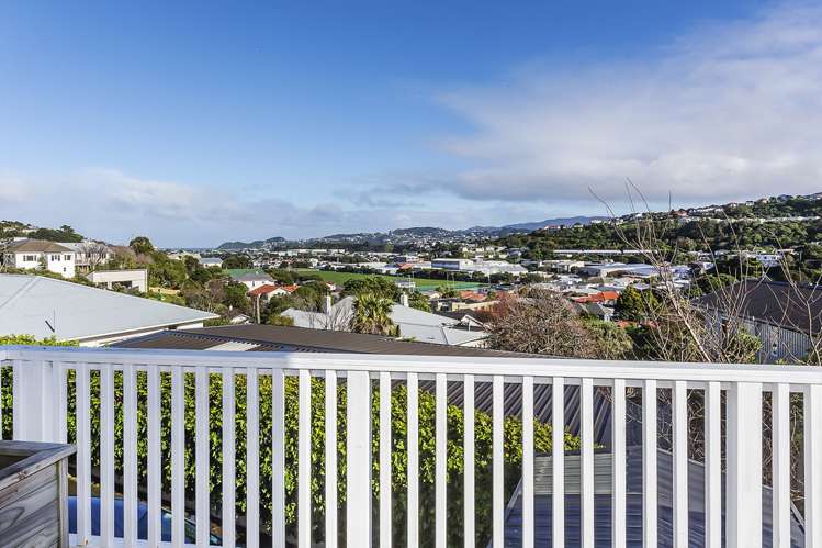 103 Totara Road Miramar_13