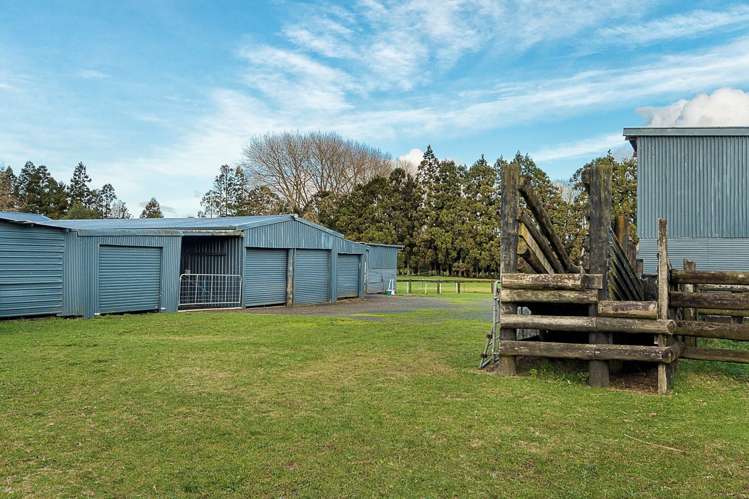 90 Schlaepfer Road Pukekohe_15