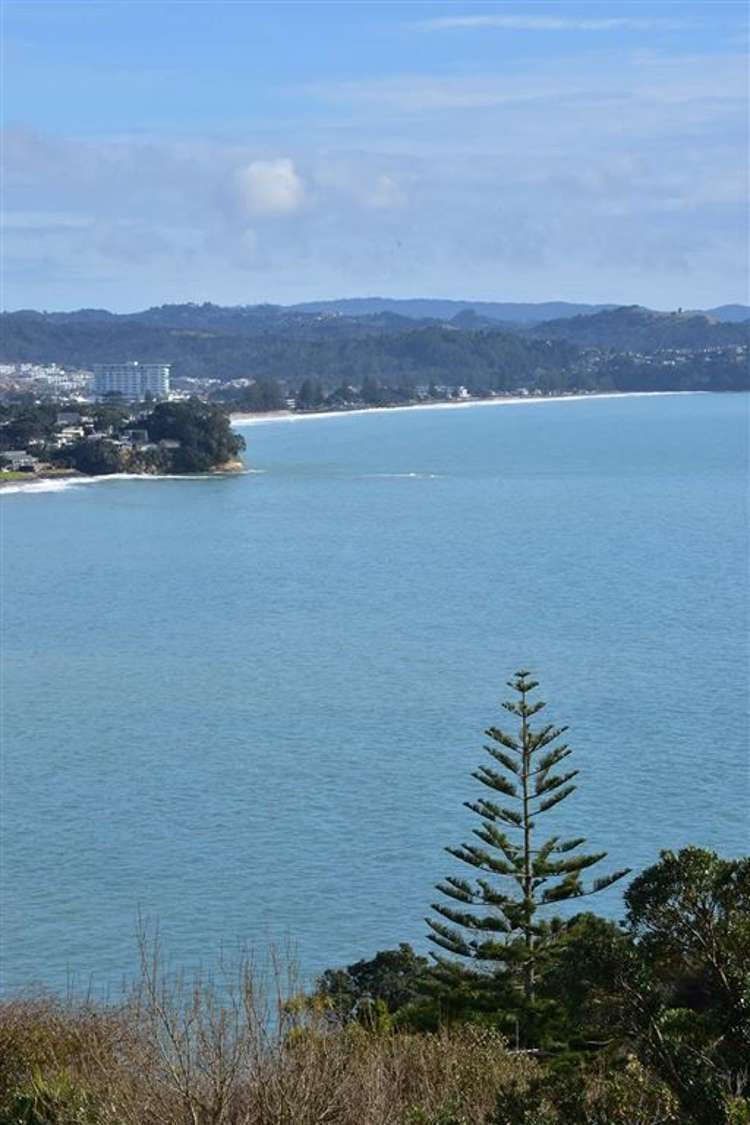 68a Vipond Road Stanmore Bay_6