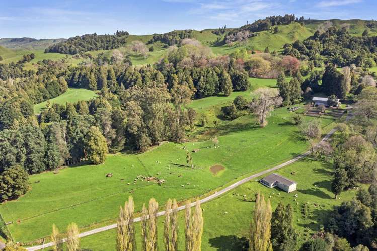 1741 Tikitiki Road Te Kuiti_9