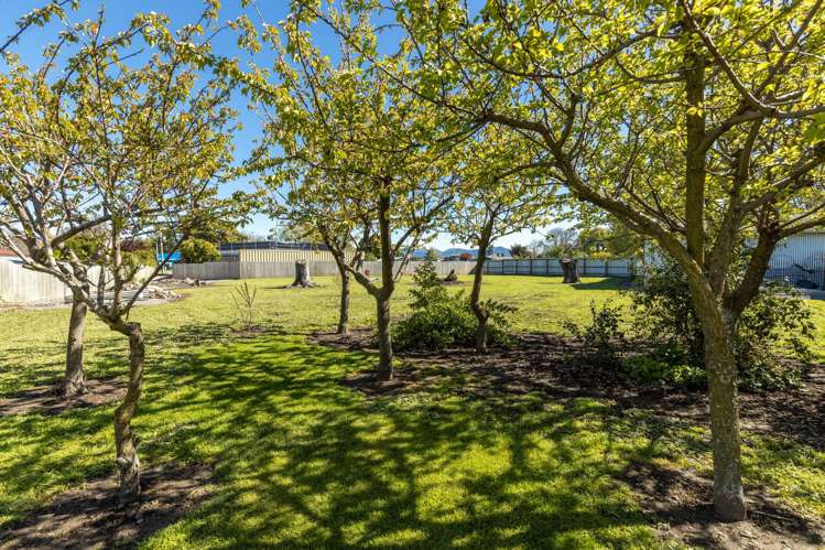 386 Alabama Road Riverlands_13