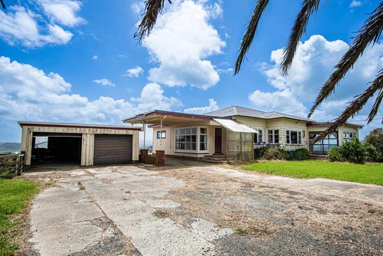 163 Bee Bush Road Arapohue_9