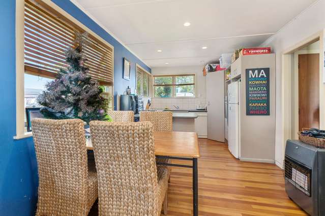 17 Carter Street Mount Maunganui_3