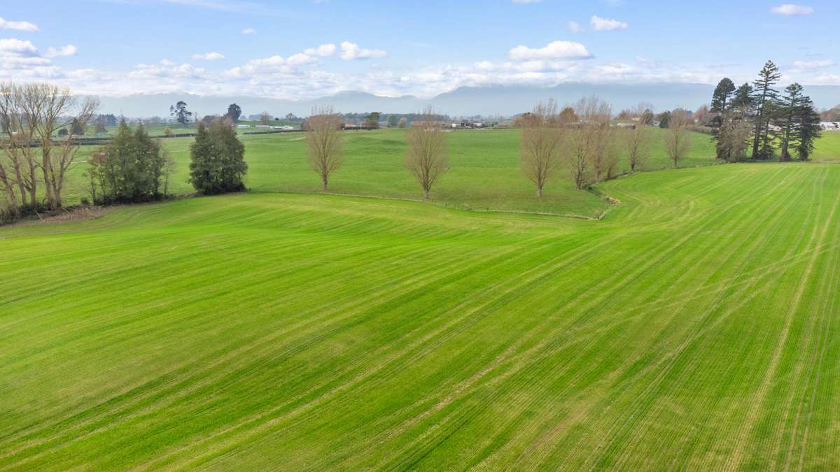 Lot 2 Landsdowne Road_4