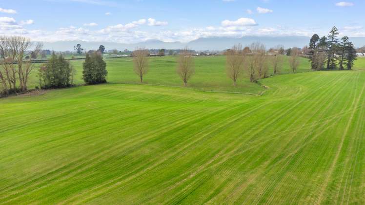 Lot 2 Landsdowne Road Waharoa_8