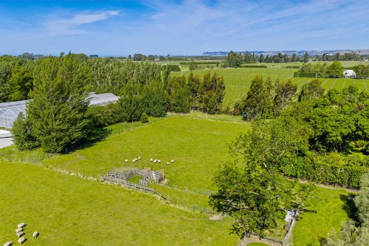 158 Murrays Road Rapaura_39