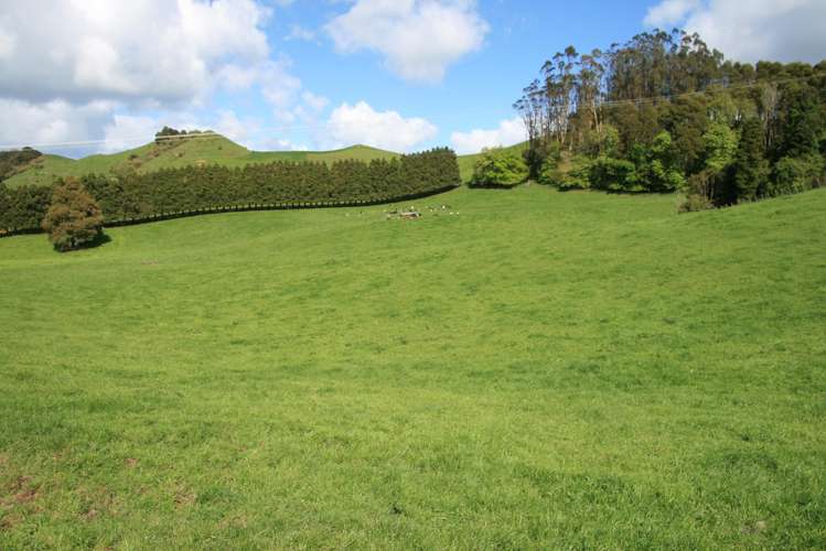 734 Bird Road Pukengahu_26