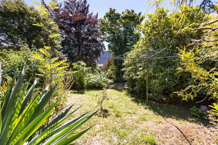 709 Highgate Maori Hill_22