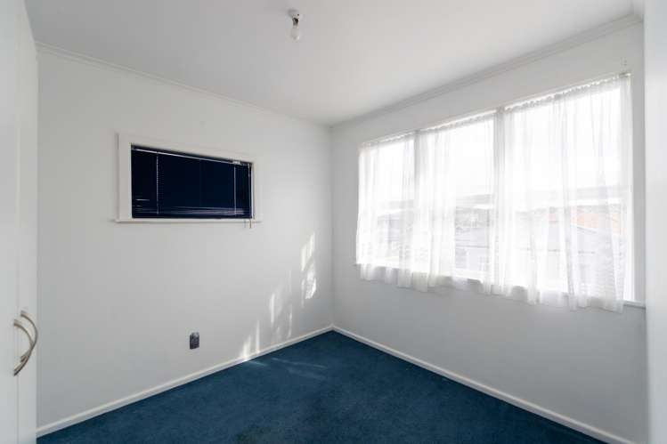 161 Guppy Road Taradale_9