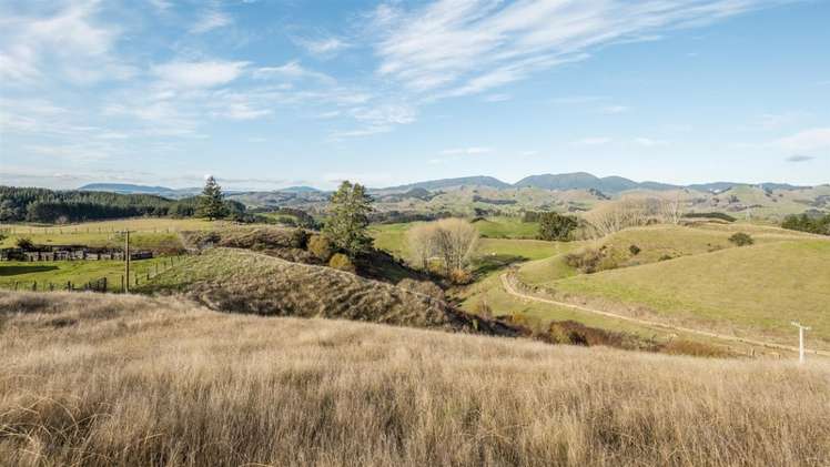 478 Galatos Road Atiamuri_19