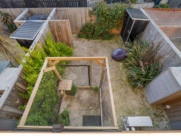 3/25 Hargest Crescent Sydenham_16