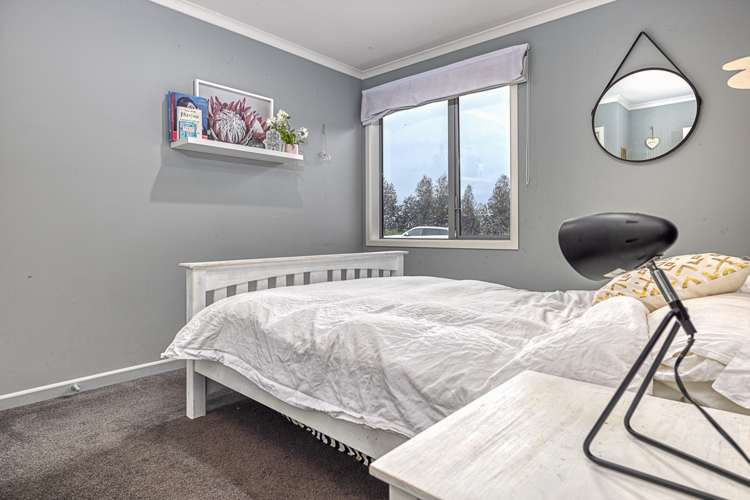 250 Ryburn Road Ohaupo_6