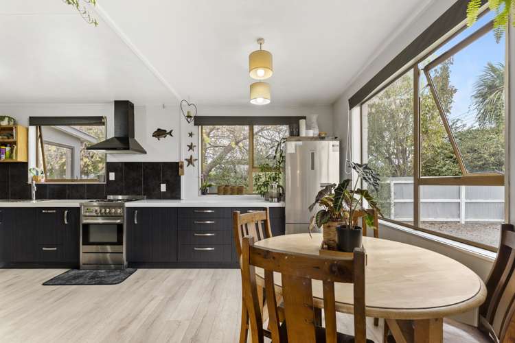 12 Alison Crescent Renwick_3