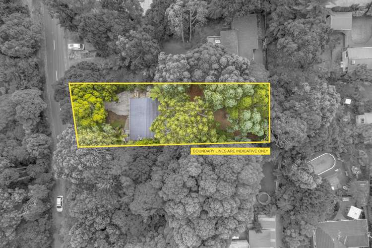 80 Waima Crescent Titirangi_27