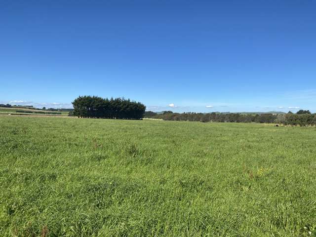 Parkville Road Eketahuna_3