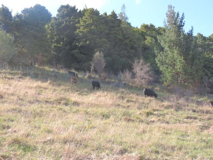 92 Parakiore Road Ngararatunua_11