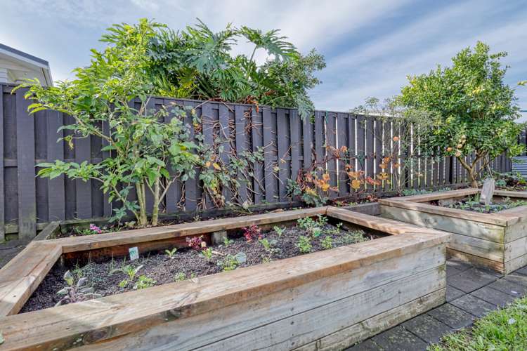 11 Meredith Street Blockhouse Bay_19