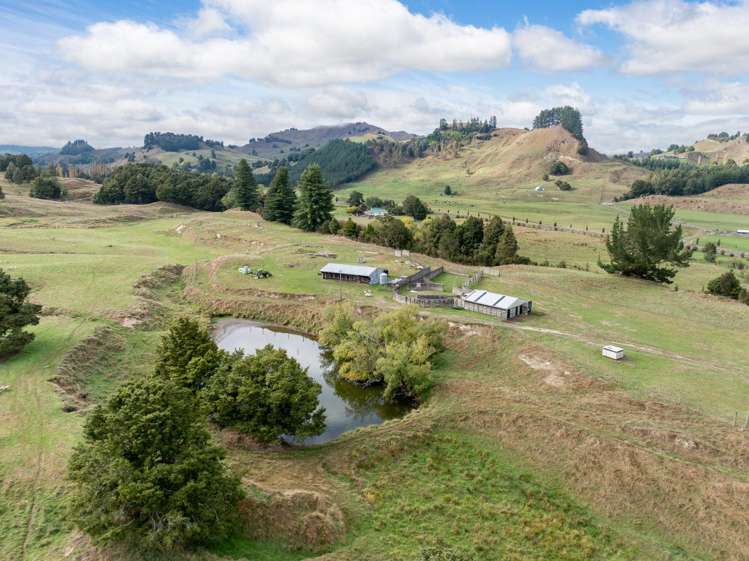 19 Body Road Manunui_5