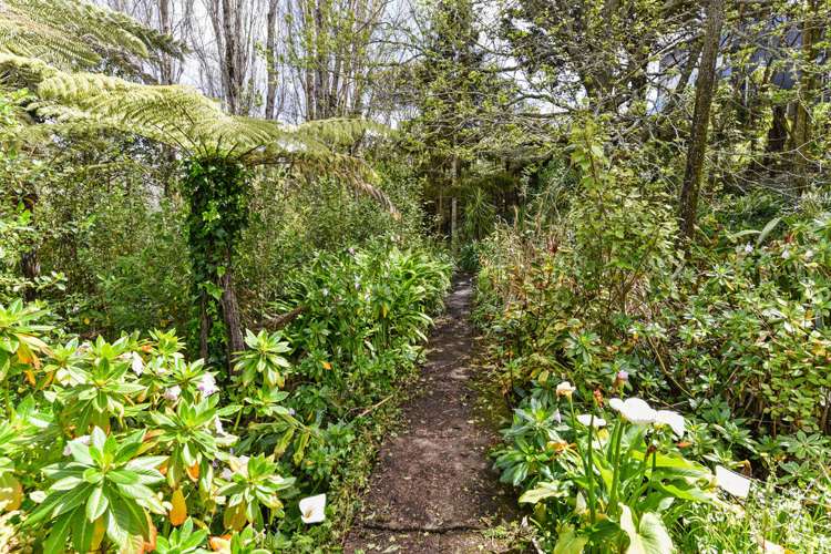 23a Beach Haven Road Beach Haven_8