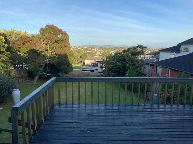 Full section viewing Waitakere Range