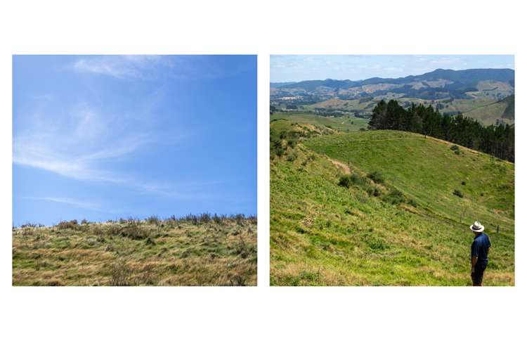 31 Ngatitangata Road Waihi_19