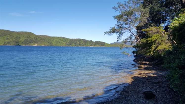 Torea Moua Bay Marlborough_19