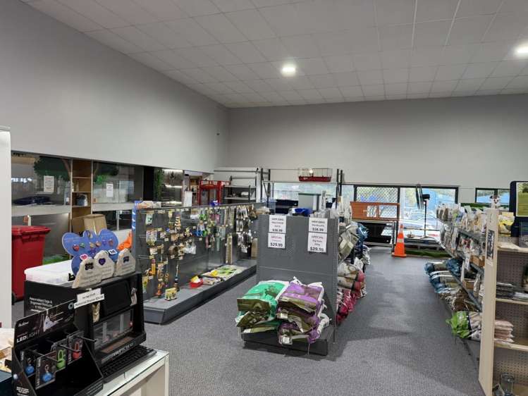 65 Molesworth Street New Plymouth_5