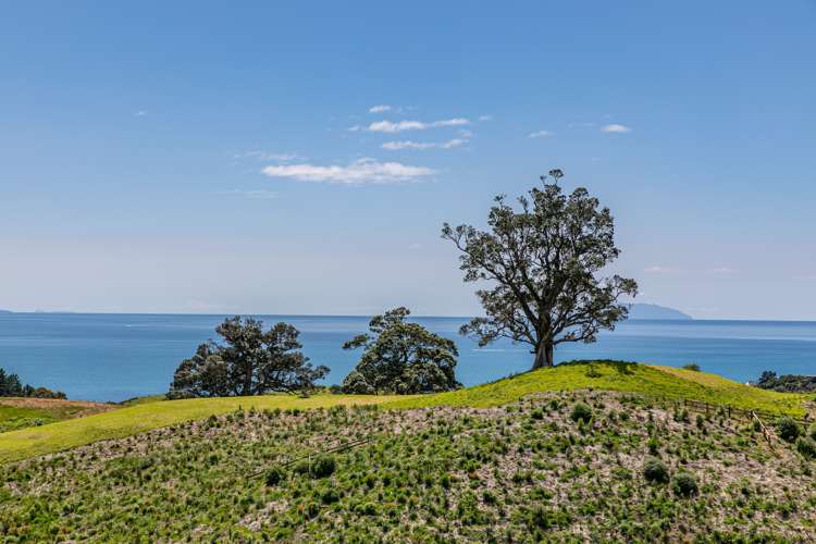 306 Sea View Road - Wawata Estate Waiheke Island_7