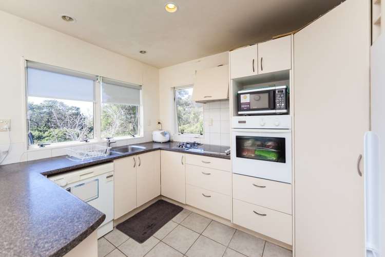 14f Cradock Street Avondale_8