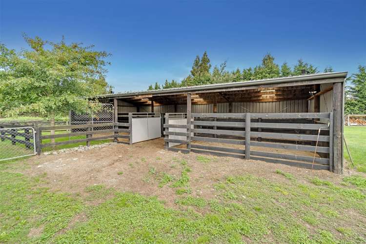 153 Chattertons Road Templeton_8