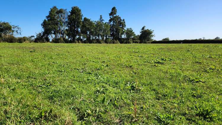 45 and 47 Windsor Road Inglewood_11