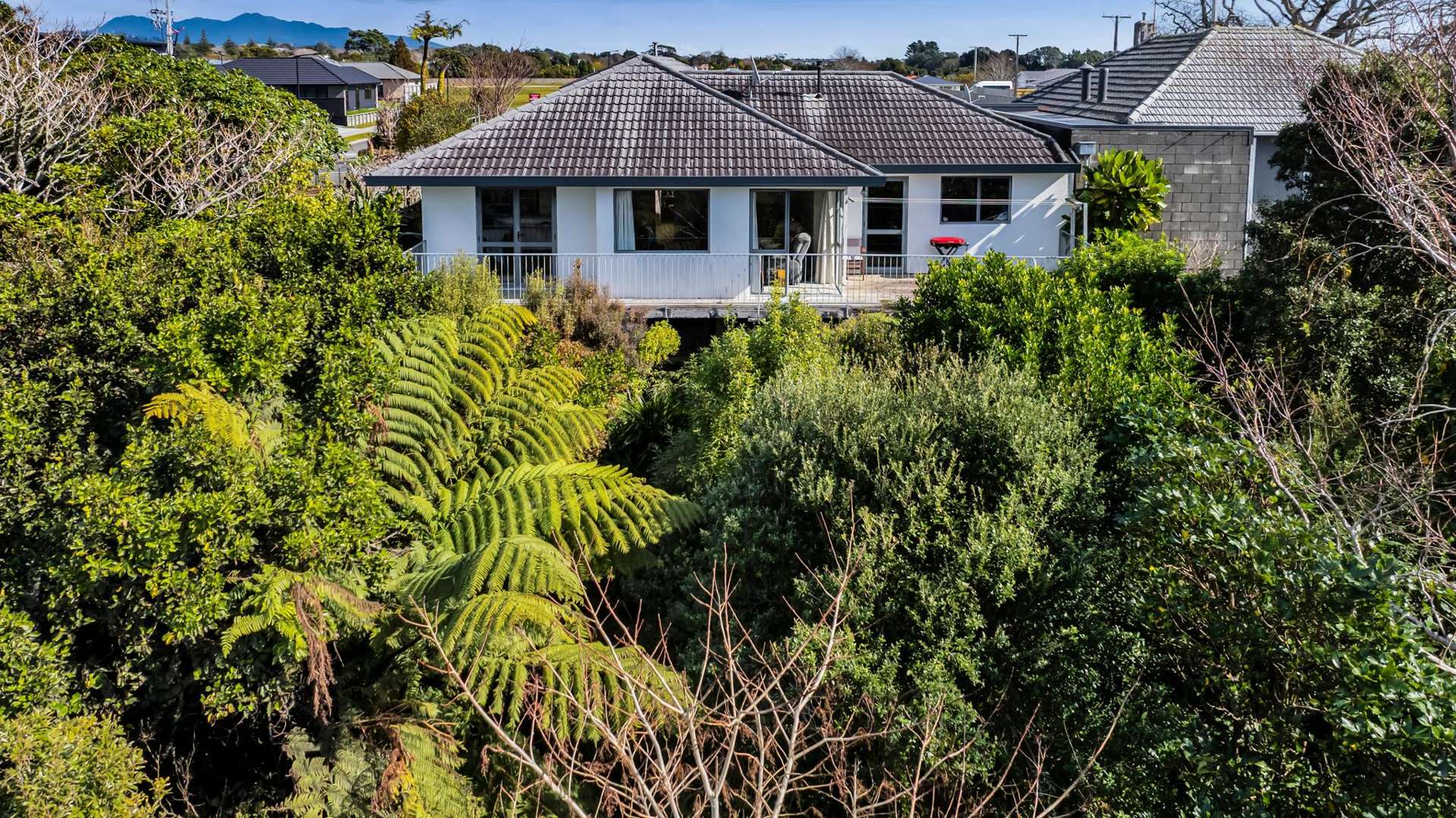 217 Carrington Street Vogeltown_0