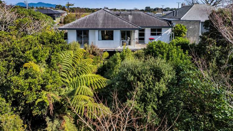 217 Carrington Street Vogeltown_0