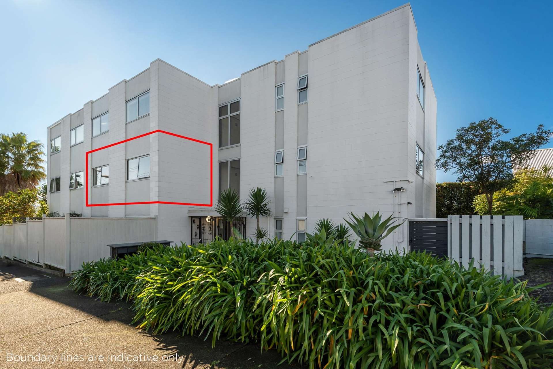 1E Caroline Street St Marys Bay_0