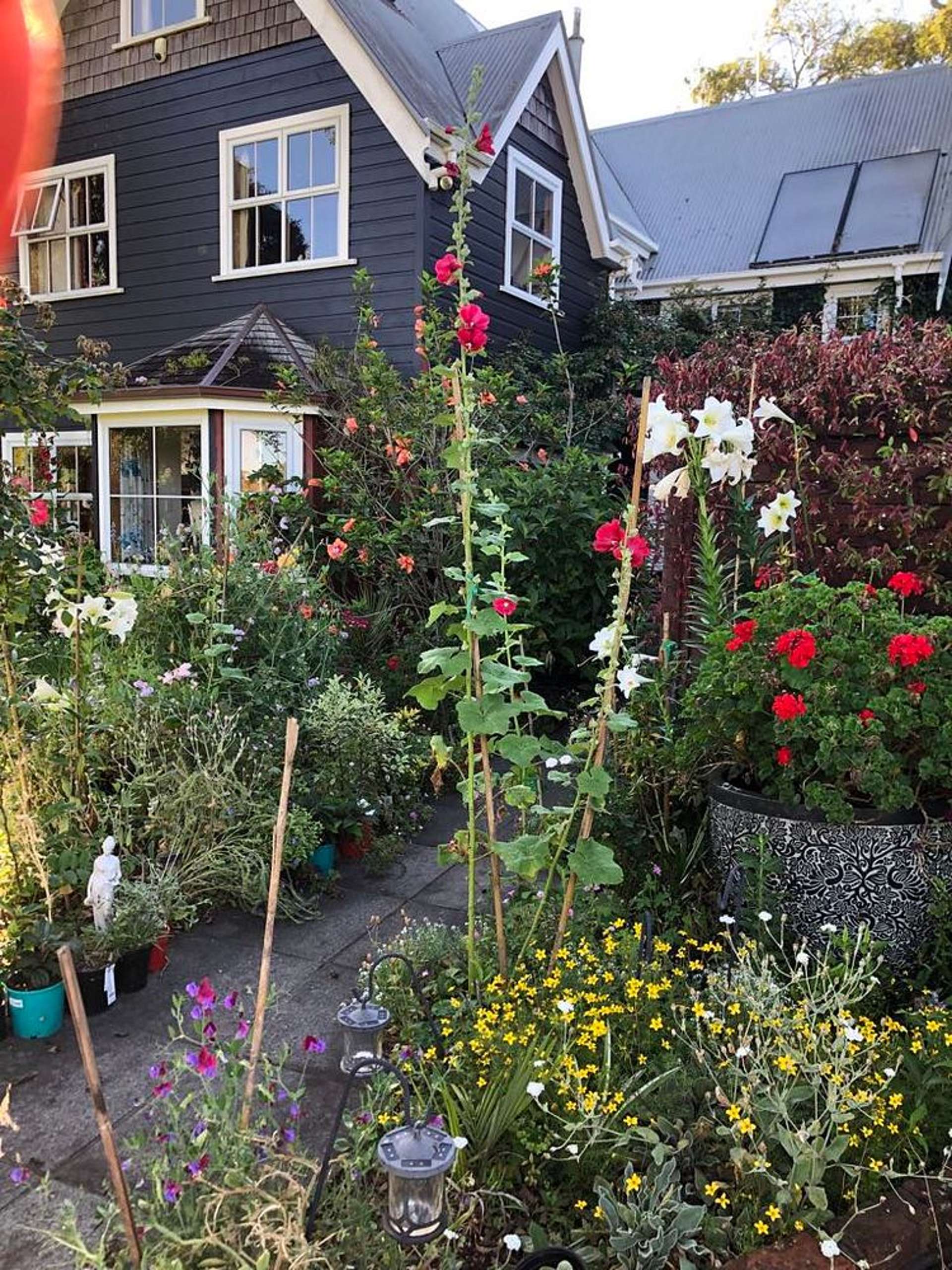 Address withheld New Plymouth New Plymouth Houses for Rent One Roof