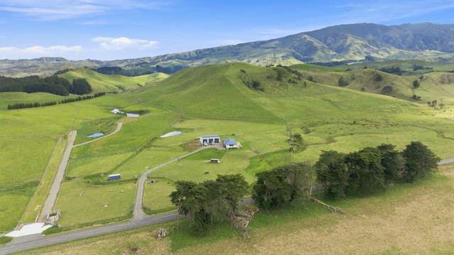 449B Pinfold Road Woodville_3