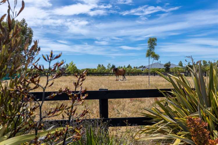 80 Pipitea Drive Rarangi_19