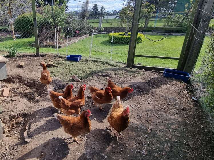 152 Orepuki Riverton Highway Riverton & Surrounds_20