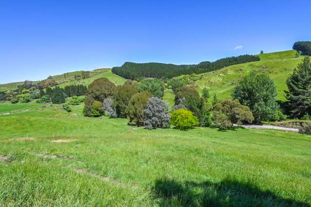 334 Apley Road Puketapu_1